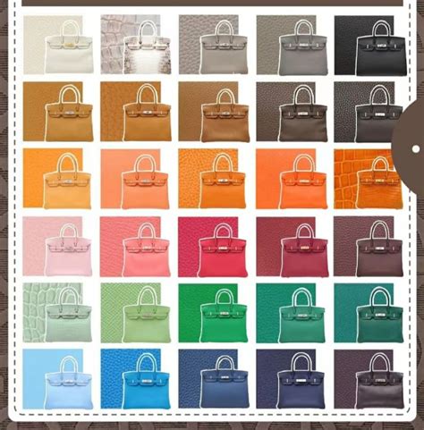 hermes evelyn etain|Hermes birkin color chart.